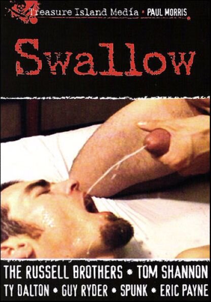 SWALLOW in David (IV)